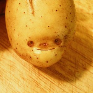 Clowning Around Assortment