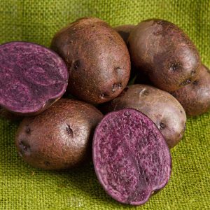 Wild Purple Variety - Double Certified